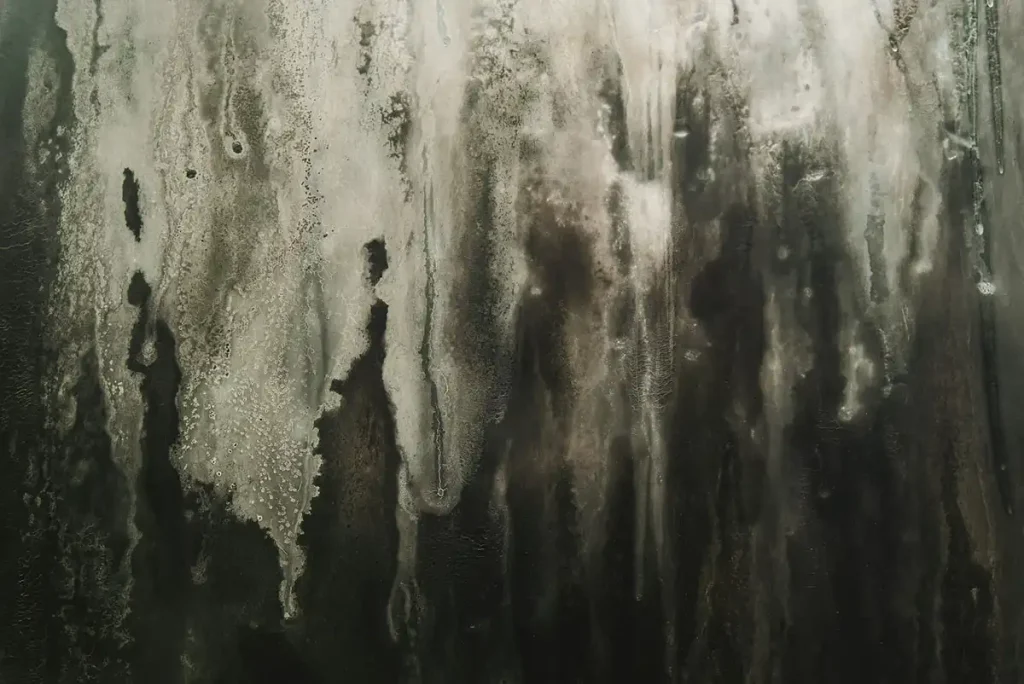 a black and white photo of ice on a window
