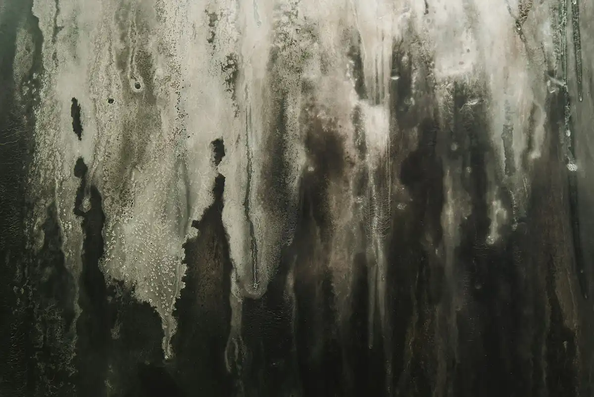 a black and white photo of ice on a window