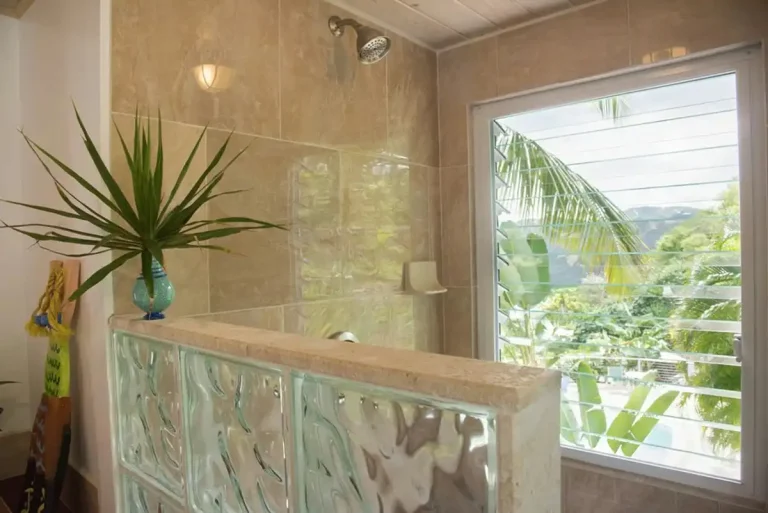 5 Mistakes to Avoid Building a Glass Block Shower Wall | Community Glass and Mirror Modern bathroom shower with glass blocks and tropical view